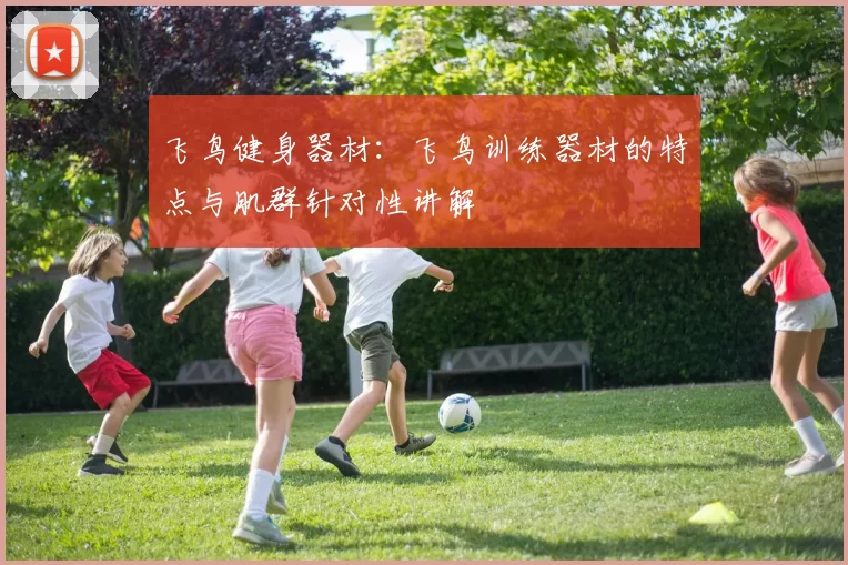 飞鸟健身器材：飞鸟训练器材的特点与肌群针对性讲解