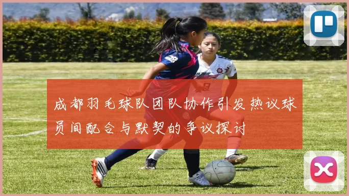 成都羽毛球队团队协作引发热议球员间配合与默契的争议探讨