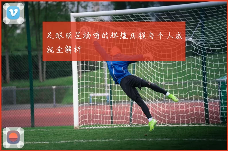 足球明星杨鸣的辉煌历程与个人成就全解析