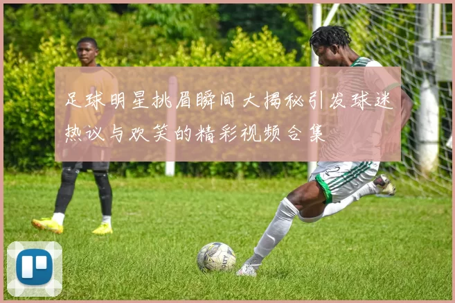足球明星挑眉瞬间大揭秘引发球迷热议与欢笑的精彩视频合集