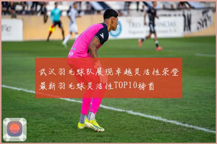 武汉羽毛球队展现卓越灵活性荣登最新羽毛球灵活性TOP10榜首