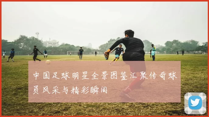 中国足球明星全景图鉴汇聚传奇球员风采与精彩瞬间